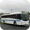 Berrima Buslines fleet images