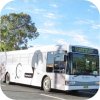 Dubbo Buslines fleet images