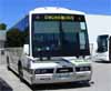 Bribie Island Coaches