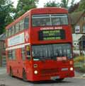 Carousel Buses