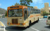 Golden Arrow