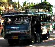 Phuket Jitney Buses