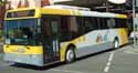 Surfside Buslines