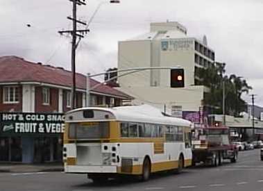 Ex Brisbane Cairns Volvo B59 Domino Hedges school bus