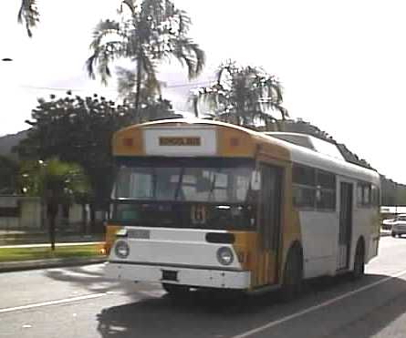 Cairns ex Brisbane Volvo B59 Domino Hedges school bus