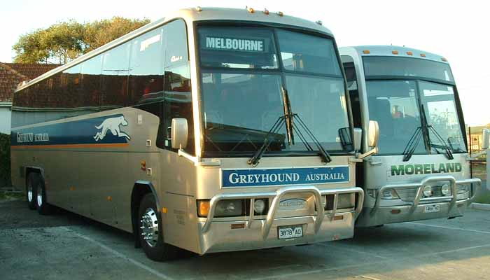 Greyhound Australia Motorcoach Classic III