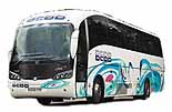 Bebb coach
