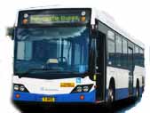 STA Newcastle Buses