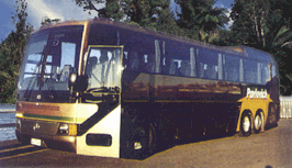 Pavlovich Coachlines website