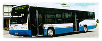 Sydney Buses