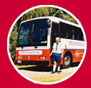 Strongman Coachlines website