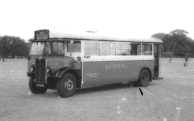 London Transport T31