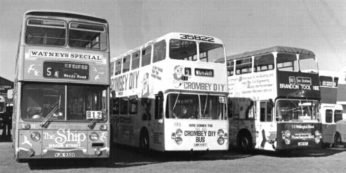 Advert buses at Thorpe Park
