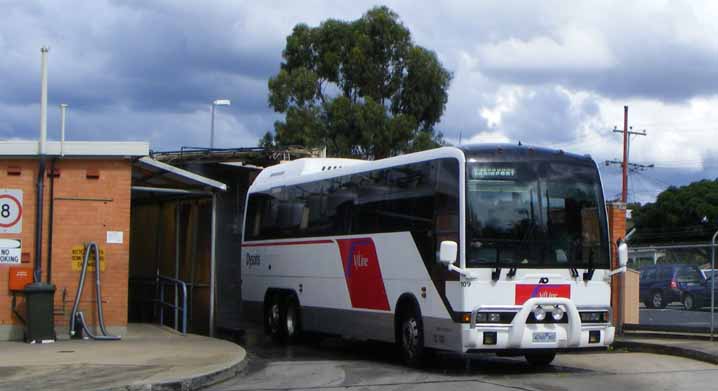Dysons V-Line Austral Denning Highlander