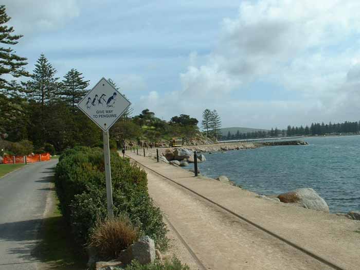 Victor Harbour Tram