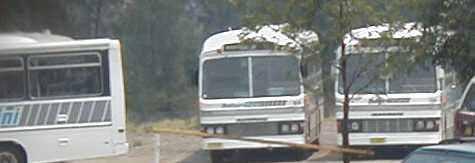 Interline Leyland Super Viking