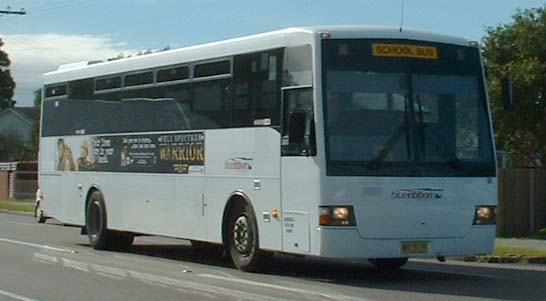 Blue Ribbon Mercedes OH1418