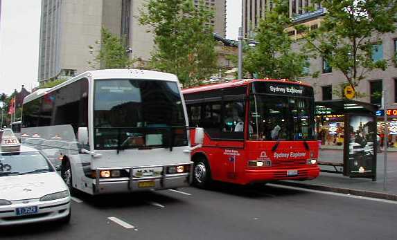 Sydney Explorer Mercedes & MAN coach