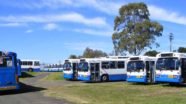 STA Mercedes O305 at Tempe