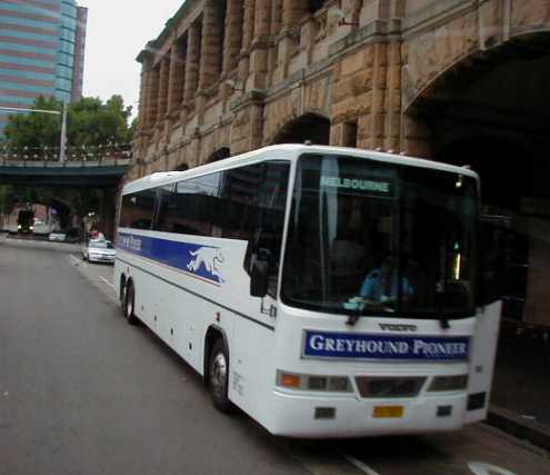 Greyhound Pioneer Volvo