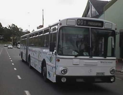 293ENL