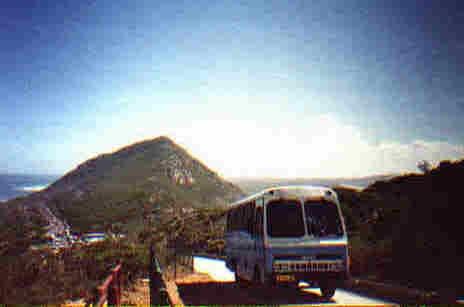 CA244630
