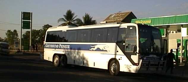 Greyhound Pioneer - Katherine