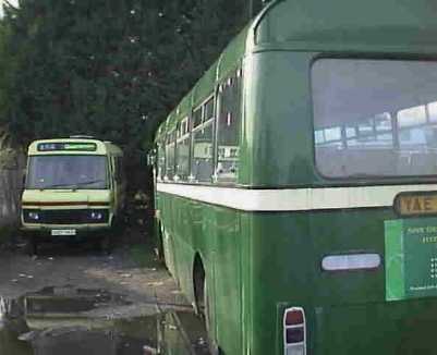 Red Rose Travel D217SKD & Routemaster Travel LH
