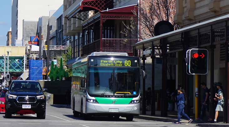 Transperth | australia.SHOWBUS.com BUS IMAGE GALLERY | WA