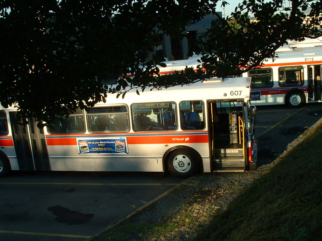 BC Transit | SHOWBUS Canadian Bus Image Gallery