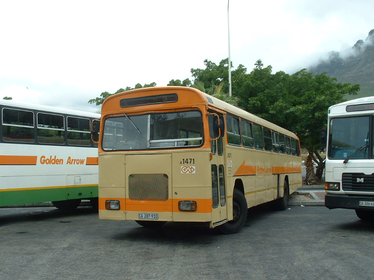 SHOWBUS INTERNATIONAL PHOTO GALLERY SOUTH AFRICA Golden Arrow