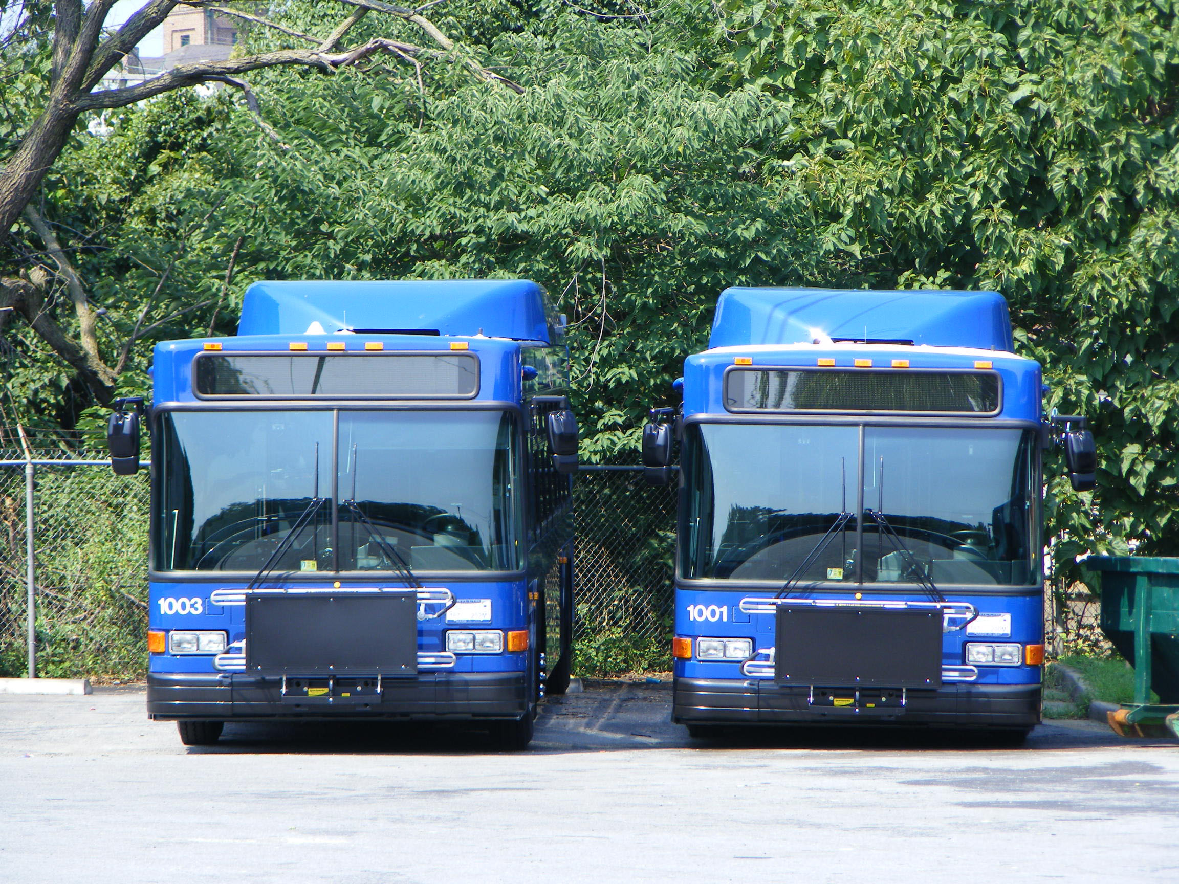 Greater Lynchburg Transit Company SHOWBUS INTERNATIONAL BUS IMAGE GALLERY USA