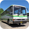 Bathurst Buslines fleet images