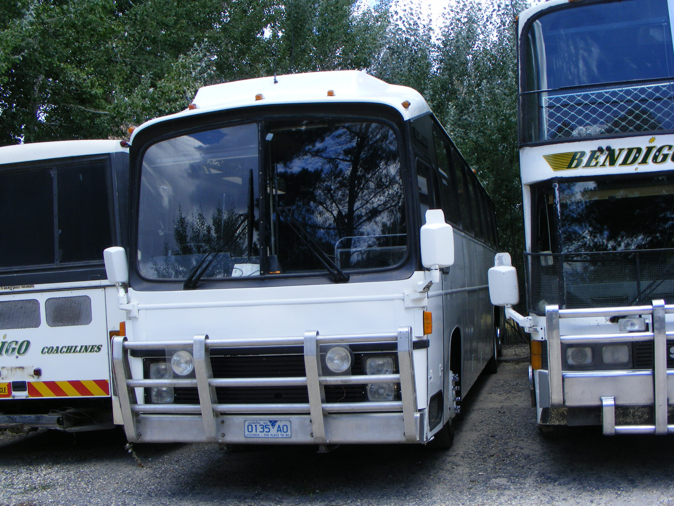 Dysons | australia.SHOWBUS.com BUS IMAGE GALLERY