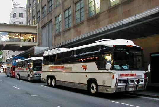 SITA Buslines | australia.SHOWBUS.com BUS IMAGE GALLERY | Vicoria
