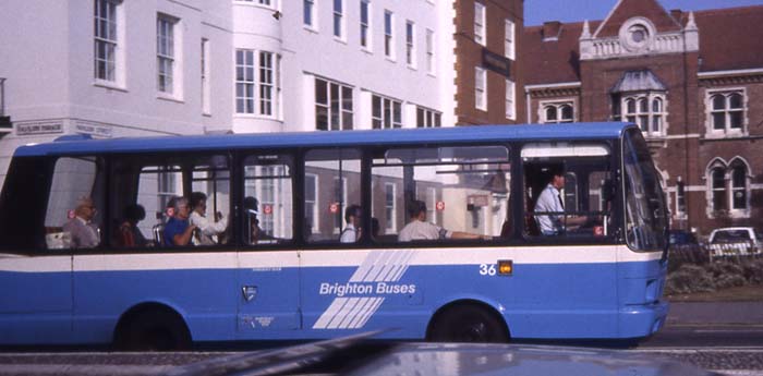 Brighton Buses Bedford JJL 36