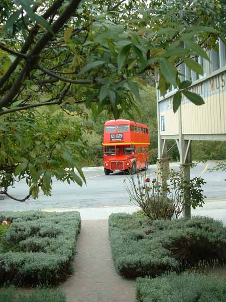London Routemaster in Queenstown