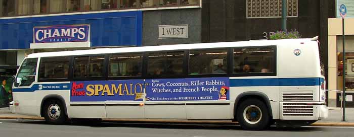 MTA New York | SHOWBUS International BUS IMAGE GALLERY | USA