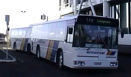 Ritchies buses