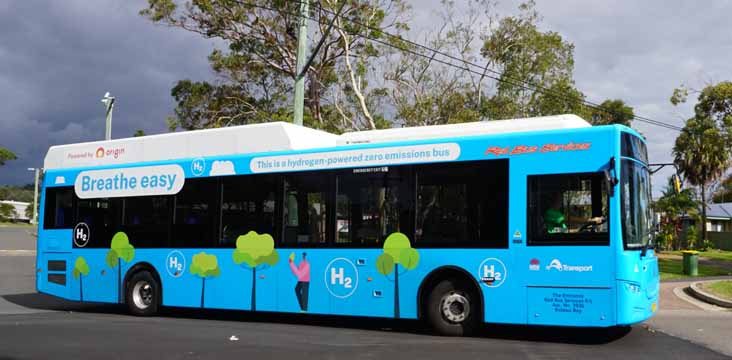 THE SHOWBUS BUS & COACH IMAGE GALLERY | Picture of the Week & Jigsaw